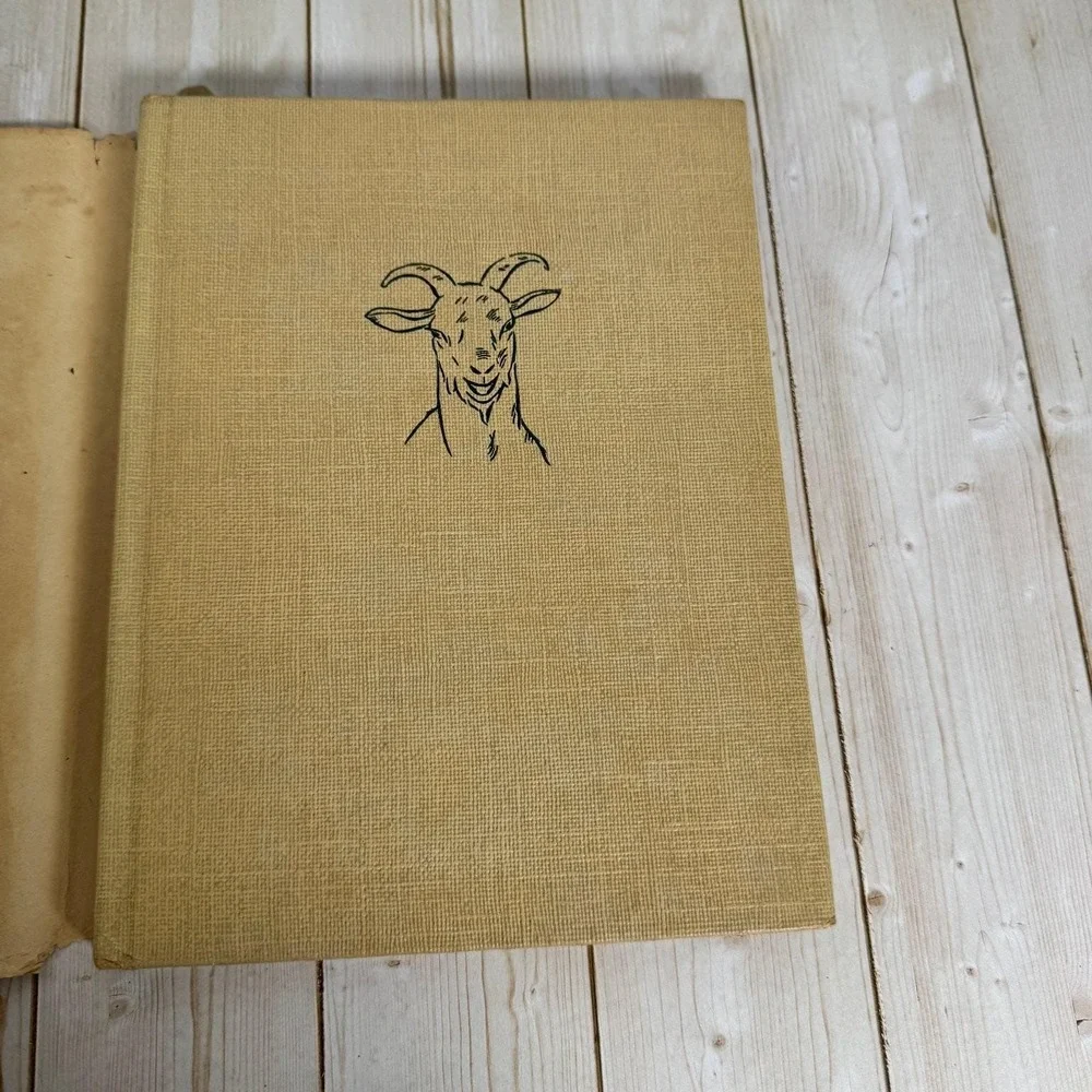Hoppity Miriam E. Mason 1947 First Printing Illustrated Macmillan Children's